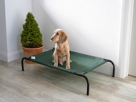 Coolaroo lit pour chien - Taille moyen: Photo 10