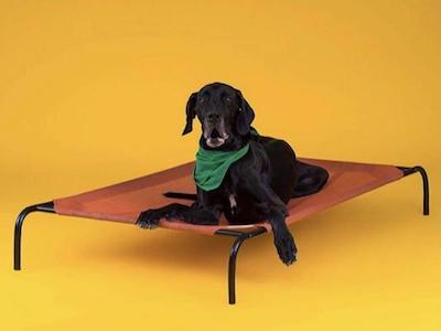 
lit sur pieds pour chien - 
lit hypoallergénique pour chien - lit pour chien Lit orthopédique pour chien conçu pour un usage extérieur et intérieur  - Large